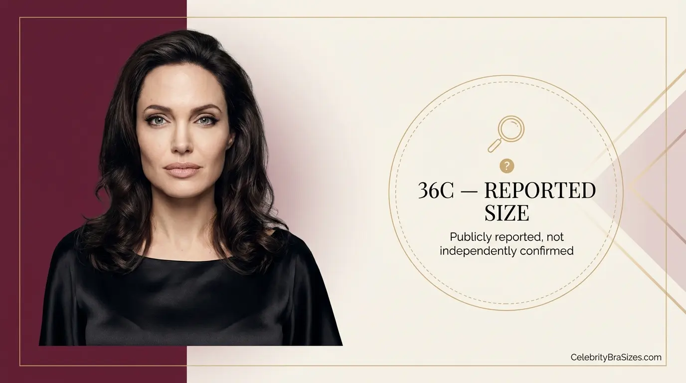 Angelina Jolie bra size source guide showing the 36C reported claim and its evidence status